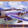 Tamiya 61090	1/48 P-47D Thunderbolt "Bubbletop"