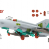 RM-6001 1/48 Mikoyan-Gurevich MiG-21 MF