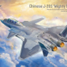  DM720023 1/72 Китайский двухместный истребитель J-20S 