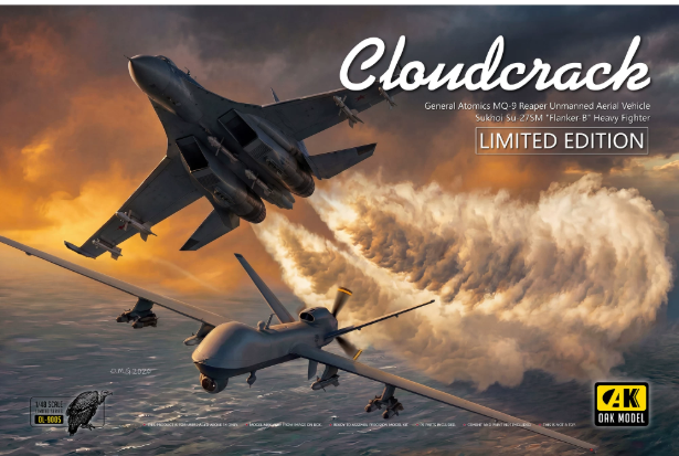 Oak Model OL-9005 1/48 Cloudcrack MQ-9 Reaper UAV & Su-27SM