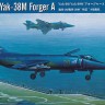 80362 1/48  Yak-38/Yak-38M Forger A