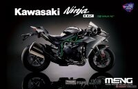MT-002s 1/9 Kawasaki Ninja H2 Pre-coloured